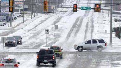 Foto de Tras otoño cálido, pronostican la primera tormenta de nieve en EU |  ACN