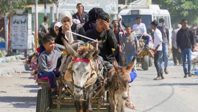 Foto de ONU advierte del riesgo de una nueva limpieza étnica palestina |  ACN