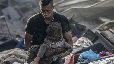 Foto de Piden alto al fuego para garantizar entrada de ayuda a Franja Gaza |  ACN