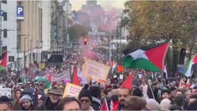 Foto de Europa sigue manifestaciones por alto el fuego en franja Gaza |  ACN