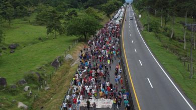 Foto de MEXICO: Migrantes bloquean una aduana para presionar permisos |  ACN