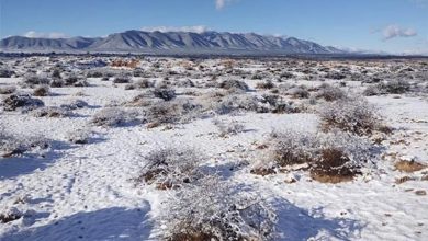 Foto de Tiembla México de frío con zonas del norte en 10 grados bajo cero |  ACN