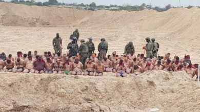 Foto de Decenas de terroristas de Hamas se rinden ante el Ejército de Israel |  ACN