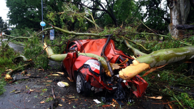 Foto de ARGENTINA: Catorce muertos tras tormenta con vientos de 150km/h |  ACN