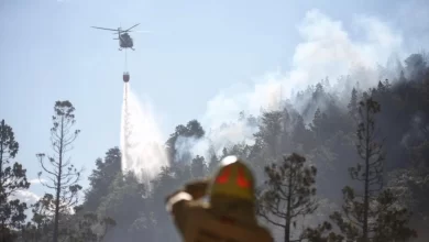 Foto de Combaten incendio que ya arrasó casi 600 hectáreas en parque nacional de Argentina