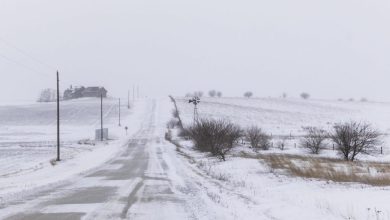 Foto de EEUU: Una ola de frío barre y hace cancelar vuelos y otros eventos |  ACN