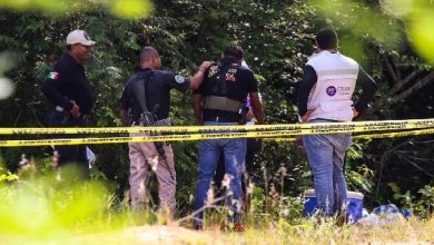 Foto de MEXICO: Hallan nueve cuerpos calcinados en Sierra de Guerrero |  ACN