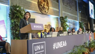 Foto de Empieza la Asamblea de la ONU en Kenia para analizar desafíos ambientales