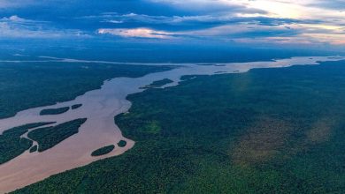 Foto de GUYANA: ONU aborda situación de Venezuela por el Esequibo |  ACN