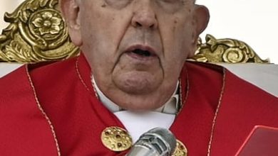 Foto de Papa teme por una gran crisis en Ucrania
