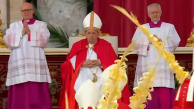 Foto de Papa preside en Vaticano misa sin homilía en Domingo de Ramos |  ACN