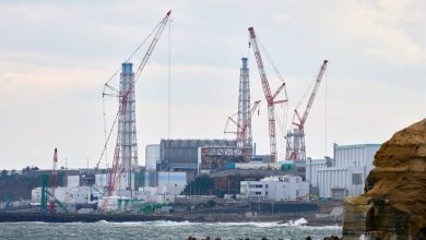 Foto de JAPON: Registrado un seísmo de magnitud 6 cerca de Fukushima |  ACN