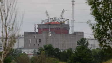 Foto de Kremlin advierte enorme peligro ataques a planta de Zaporozhie |  ACN