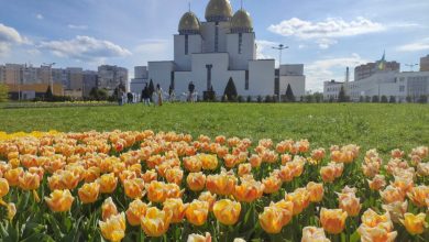 Foto de La primavera y tulipanes ayudan a ucranianos a lidiar guerra