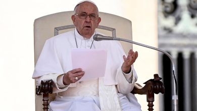 Foto de Papa pide perdón, no quiso ofender en términos homófobos