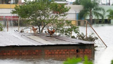 Foto de Un pueblo brasileño devastado por la inundación