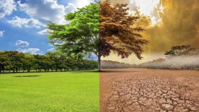 Foto de Cambio climático amenaza a 41 mm personas en Latinoamérica |  ACN