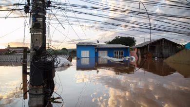Foto de BRASIL: Ascienden a 95 los muertos por las fuertes lluvias |  ACN