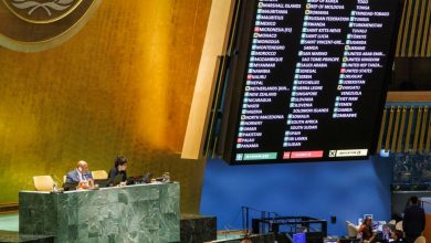 Foto de 143 Estados piden la integración plena de Palestina en la ONU |  ACN