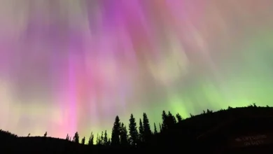 Foto de La poderosa tormenta solar que provocó un raro espectáculo de la aurora boreal