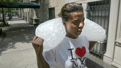 Foto de EU: Emiten alertas calor extremo para más 70 millones personas |  ACN