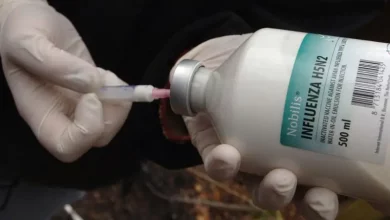 Foto de La OMS confirma la primera muerte relacionada con la gripe