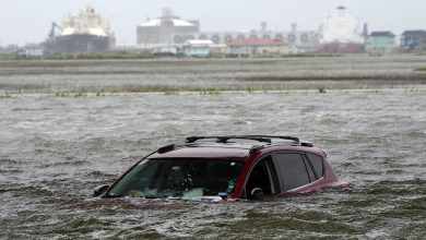 Foto de Tormenta tropical Alberto deja 3 muertos en su paso golfo México |  ACN