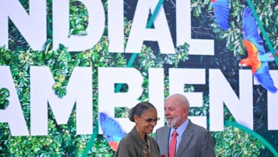 Foto de Lula anuncia medidas ambientales para salvar planeta