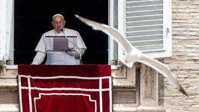 Foto de Papa llama a acoger a los homosexuales en la Iglesia