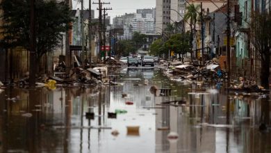 Foto de Al menos 13 personas murieron por leptospirosis de Brasil