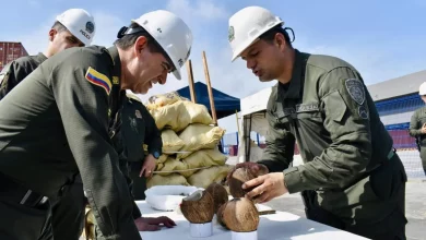 Foto de Incautan en Colombia cargamento de 176 kilos de cocaína