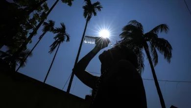 Foto de El calor sigue batiendo récords debido al cambio climático