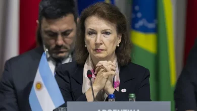 Foto de Argentina pide a OEA evitar “ideologías contra la vida"