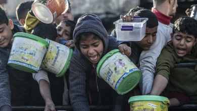 Foto de Niños mueren desnutridos Gaza, alimentos esperan en camiones