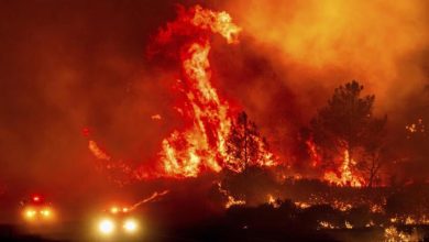 Foto de EEUU: Potente incendio arrasa 150.000 hectáreas en California |  ACN