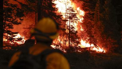 Foto de Cuatro mil bomberos tratan de combatir el peor incendio de California