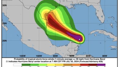 Foto de MEXICO: El huracan Beryl toca tierra este viernes categoría 2 |  ACN