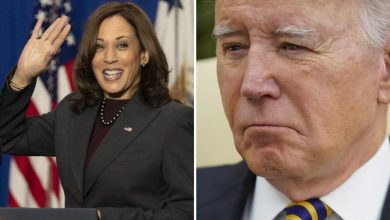 Foto de Biden sugirió a Kamala Harris; Partido deberá iniciar proceso |  ACN