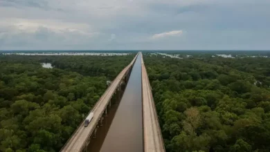 Foto de Bebé sobrevivió varios días solo al borde de una carretera