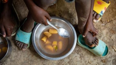 Foto de El hambre en el mundo se mantiene en niveles elevados