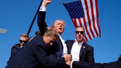 Foto de Trump dice la bala sonó como “el mayor mosquito del mundo” |  ACN