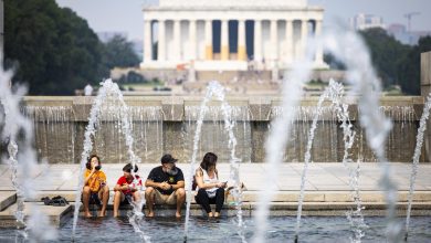 Foto de 70 millones de personas bajo alerta de calor extremo en EU |  ACN