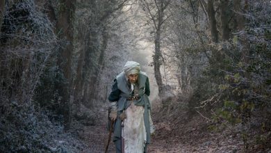 Foto de Una anciana de 88 años sobrevive 4 días sola en un bosque del norte de Italia