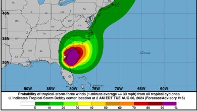 Foto de Tormenta provoca 6 muertos en estado de La Florida, en EE.UU. |  ACN