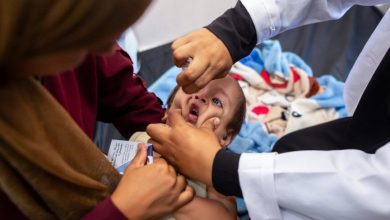 Foto de Campaña de vacunación en Gaza comenzó antes de lo previsto |  ACN