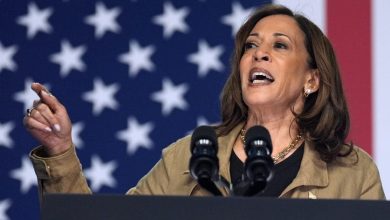 Foto de Trump y Kamala Harris se disputan favor del voto latino