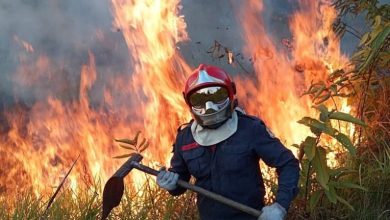 Foto de Humo viaja por el fuego de Brasil y Bolivia