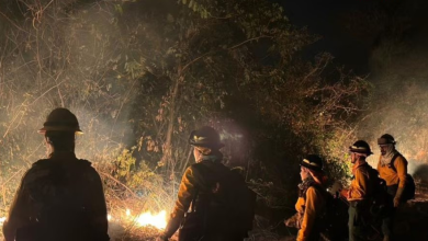 Foto de Bolivia consumida por incendios abre debate sobre polémicas leyes |  ACN