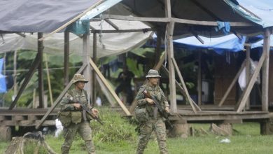 Foto de Ubican campamento clandestino de migrantes irregulares en la selva panameña del Darién