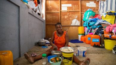 Foto de FAO pide financiación urgente para asistir a más de 600 mil haitianos y evitar el hambre